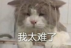 内娱吃瓜反转,真相背后，谁才是真正的赢家？