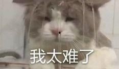 内娱吃瓜反转,真相背后，谁才是真正的赢家？