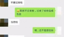 曝光聊天记录吃瓜,一场网络风波背后的真相大揭秘