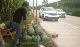 搬张凳子吃瓜,品味生活百态——搬张凳子吃瓜记