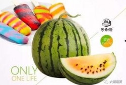 奥雪雪糕吃瓜,揭秘网红食品背后的真相