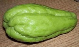 吃鳖可以吃佛手瓜吗,探寻养生美食的完美搭配