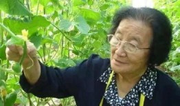 在线免费吃瓜网,揭秘在线免费吃瓜网背后的真相