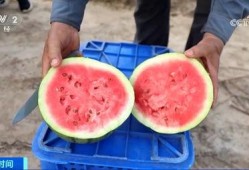 富裕吃瓜,揭秘财富背后的酸甜苦辣