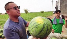 吴川吃瓜后续,真相大白，网友热议不断