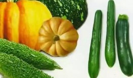 师范教室吃瓜,一场别开生面的校园趣事