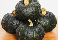 宝宝吃南瓜还是贝贝瓜