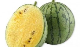 准备吃瓜的视频,一起围观吃瓜盛宴！