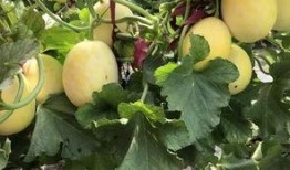 周末吃大瓜,盘点娱乐圈最新热点事件