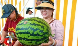 瓜吃的可开心,快乐满园