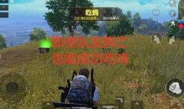 夹子车队吃瓜,揭秘娱乐圈幕后风云