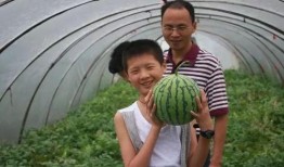 吃麒麟瓜声控,麒麟瓜的神秘呼唤