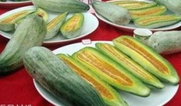 吃酥瓜的,夏日消暑新宠