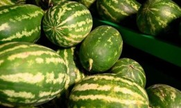 呼市网红吃瓜事件,揭秘网络舆论的风云变幻