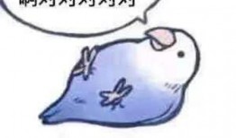 吃瓜吃到不睡觉,揭秘娱乐圈那些不为人知的秘密