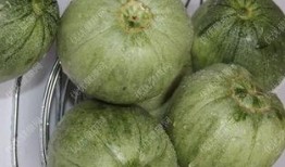 孕妇吃瓜篓子好吗,孕妇适量吃瓜篓子有益健康