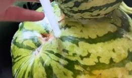 请你吃瓜搞笑视频