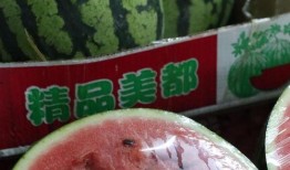 吉林教育机构吃瓜,揭秘吃瓜背后的真相