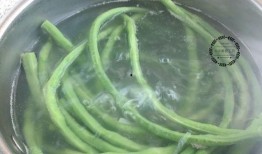 蓝毛吃瓜,揭秘网络红人的瓜田奇遇