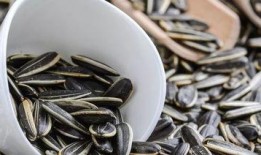 听雨吃瓜嗑瓜子,夏日悠闲时光的完美写照