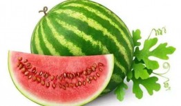 吃瓜小助理南昌,吃瓜小助理带你探秘城市美食盛宴