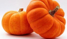 金色小瓜怎么吃,探索美味新境界