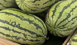 三号门吃瓜,揭秘校园里的神秘事件