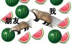 吃瓜大瓜微信,带你领略网络热点的魅力