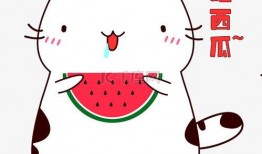 动漫猫咪吃瓜头像可爱,猫咪吃瓜头像的可爱瞬间