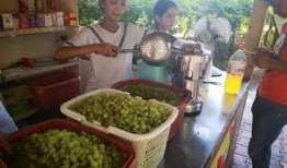 大型最强吃瓜视频,一场视觉盛宴的狂欢之旅