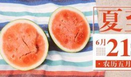 河南吃瓜公众号,揭秘当地特色美食，带你领略中原风味