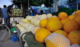 山东日照吃瓜视频