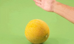 吃甜瓜还是吃蜜瓜热量低,揭秘哪一种更健康低卡