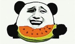 吃瓜群众里的吃瓜是什么意思,网络热词背后的文化现象