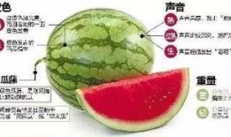 微信明星吃瓜,揭秘微信吃瓜群里的明星幕后故事