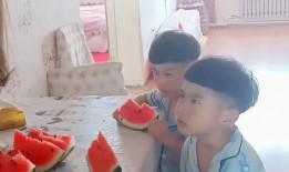 双胞胎姐弟吃瓜,双胞胎姐弟的瓜田奇遇记