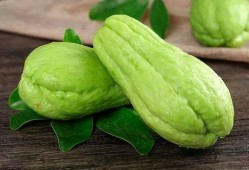 类风湿可以吃葫芦瓜,天然食疗新选择