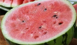 老外吃麒麟瓜视频播放