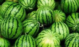 吃瓜小助理南昌,吃瓜小助理带你探秘城市美食盛宴