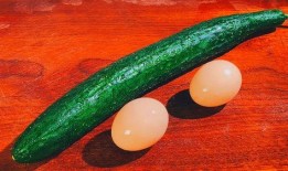 每天吃鸡蛋煮瓜,健康美味两不误的养生食谱