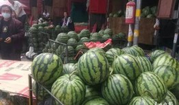 版纳 吃瓜,尽享热带风情