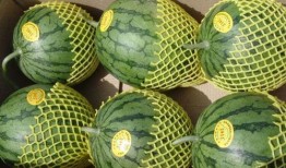 准备吃瓜的视频,一起围观吃瓜盛宴！