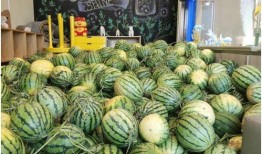 51国产吃瓜在线今日吃瓜,今日热门吃瓜事件大盘点