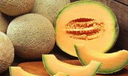 蝉吃不吃哈密瓜,揭秘蝉是否享用哈密瓜