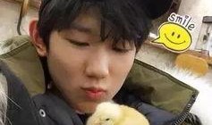 王源的吃瓜,揭秘娱乐圈背后的真相