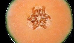 大姨妈可以吃哈密瓜,哈密瓜的甜蜜滋养之旅