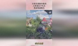 缅甸吃瓜大妈视频播放,揭秘当地生活趣味瞬间