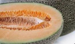 吃哈密瓜痛到上颚出血,甜蜜诱惑下的上颚血泪史