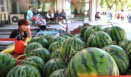 亳州市吃瓜,品味千年古都的甜蜜时光