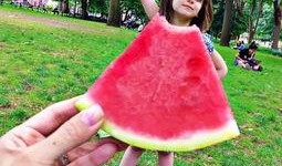 可以吃瓜的裙,一袭“可以吃瓜”的裙，演绎时尚与趣味并存